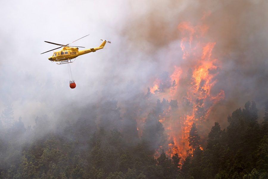 Tenerife lucha contra un incendio forestal que arrasa 5.000 hectáreas